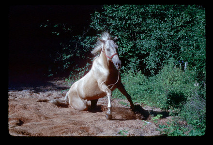 Slide918.jpg